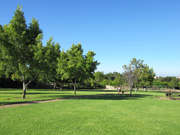 近郊の公園